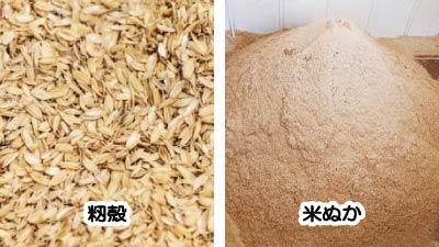 籾殻,米ぬか,違い,畑にまく時期,画像